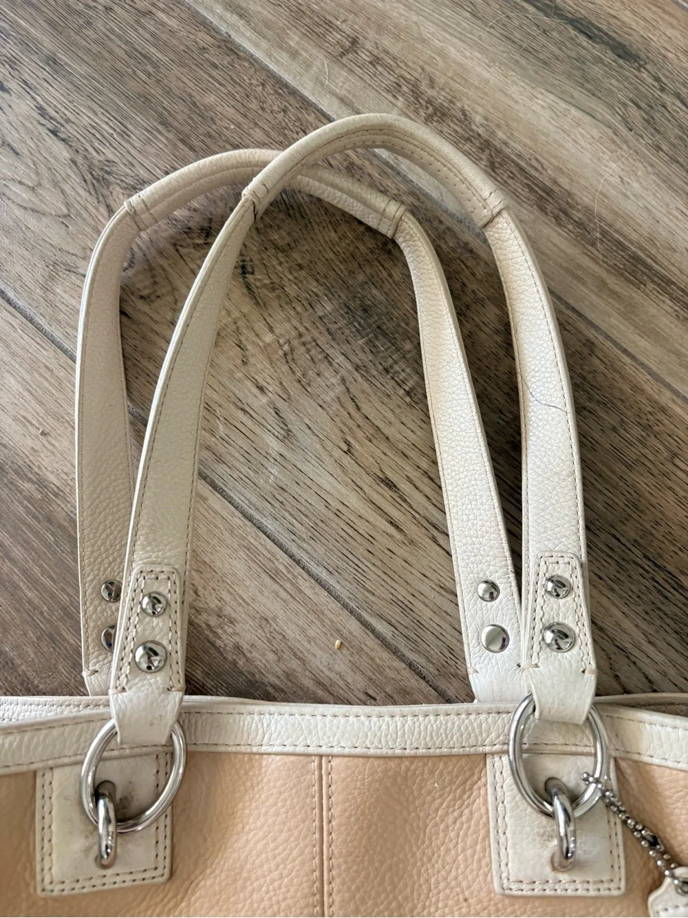 Coach Pebbled Leather Penelope Carryall Tote